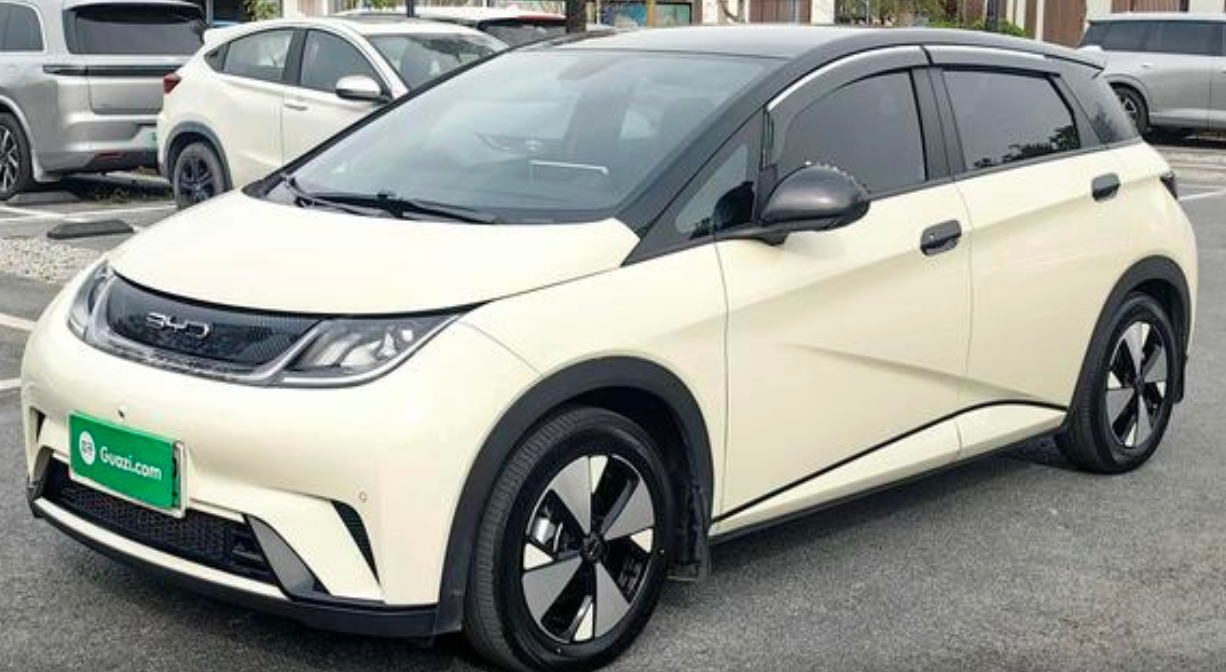 BYD Dolphin Secondary image