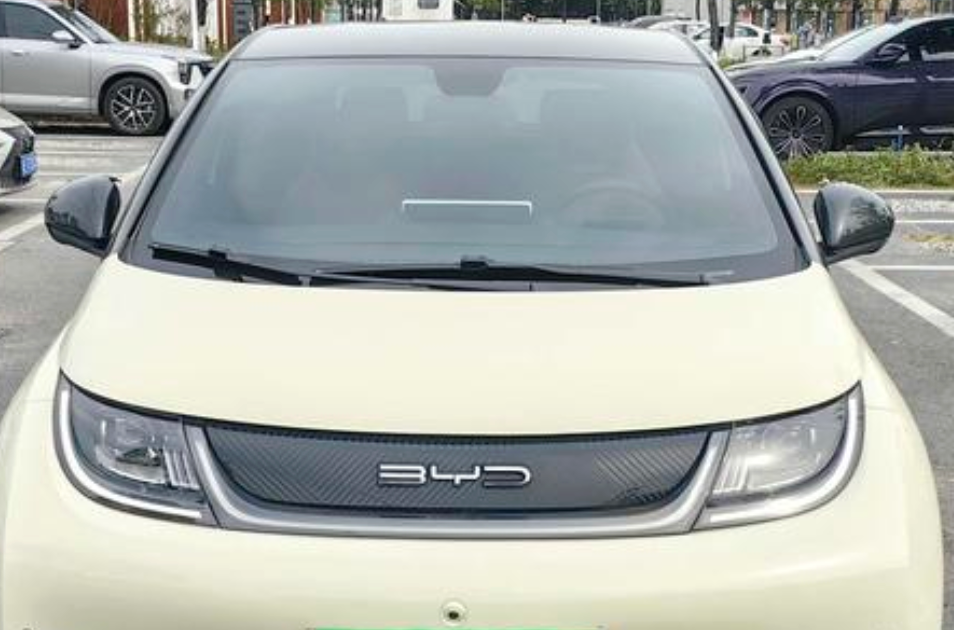 BYD Dolphin Main image