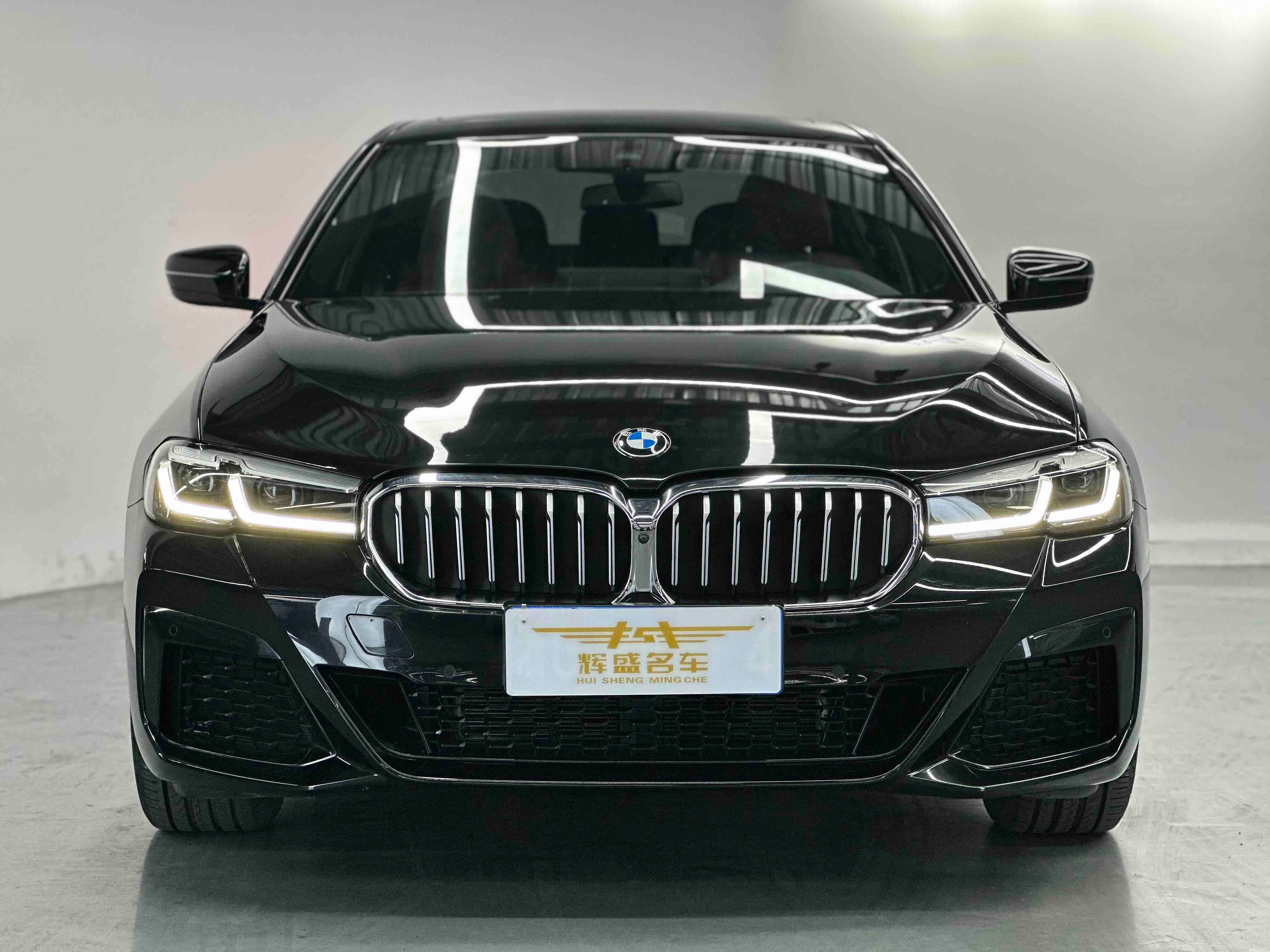 BMW 530Li Main image